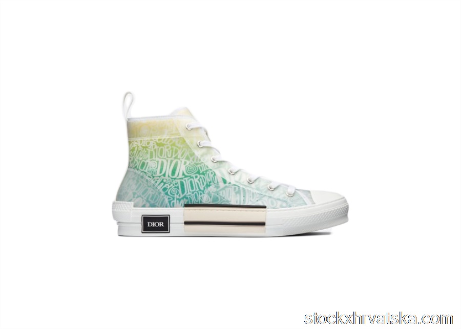 Dior And Shawn B23 High Top 3SH118YYL_H661