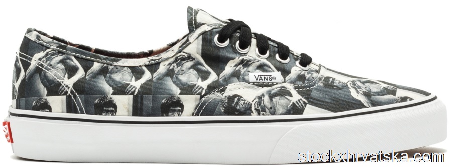 Vans Authentic Supreme Bruce Lee (White) VN0000ANM