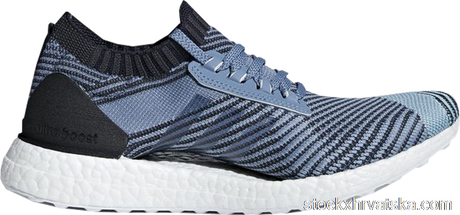 adidas Ultra Boost X Parley Raw Grey (W) AQ0421
